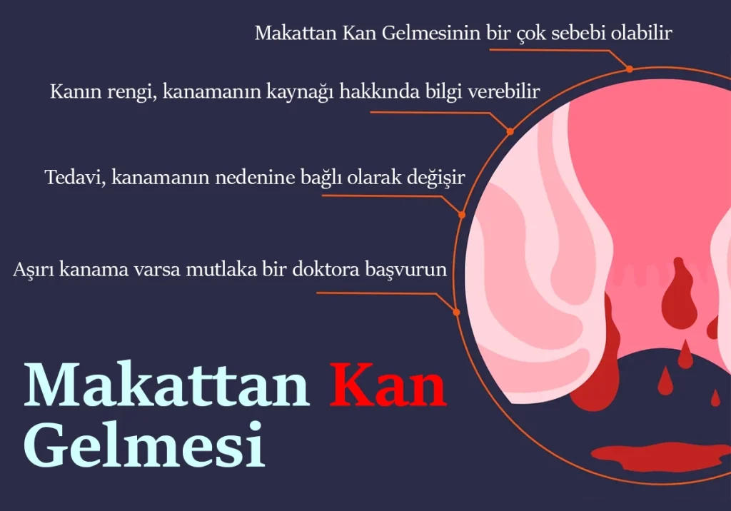 Makattan kan gelmesi nedenleri ve tedavi yöntemleri hakkında bilgilendiren görsel